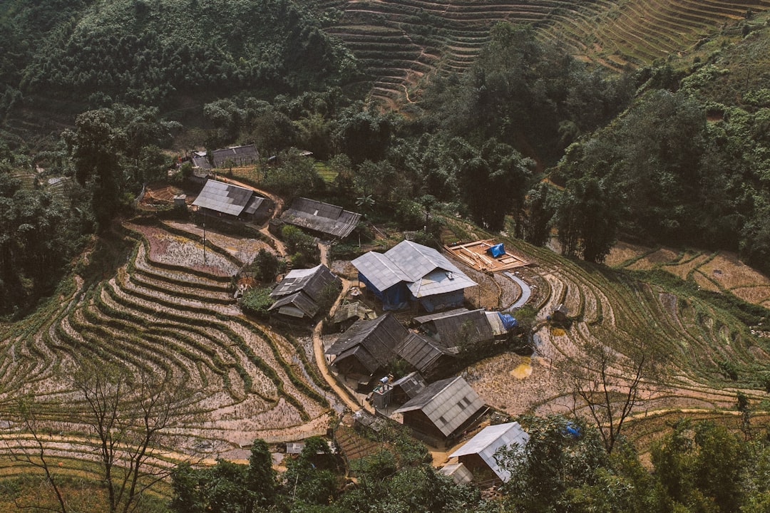 Homestay 2027: bão hoà hay bão hoà kẻ thiếu bản sắc? - hình 1