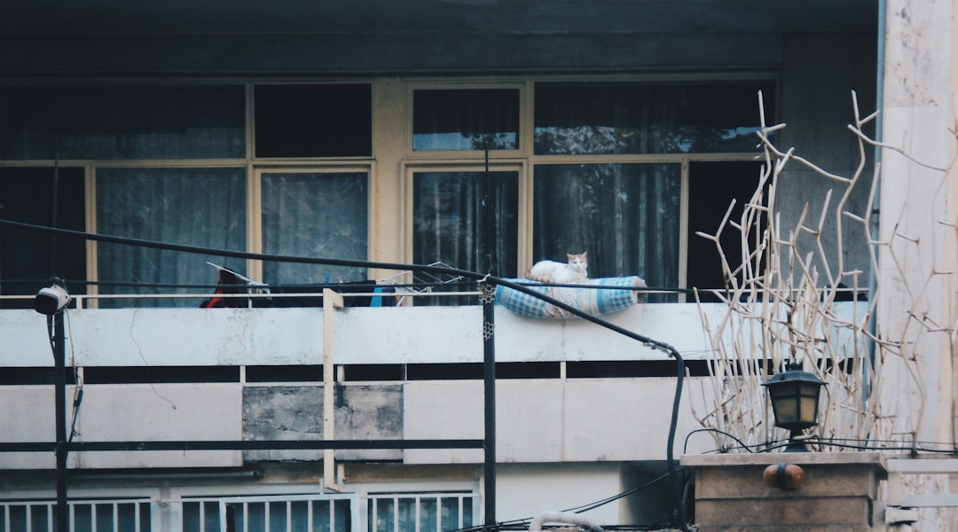 Dự án siêu nhỏ: nơi cảm hứng thiết kế trú ẩn sâu nhất — minh họa 5